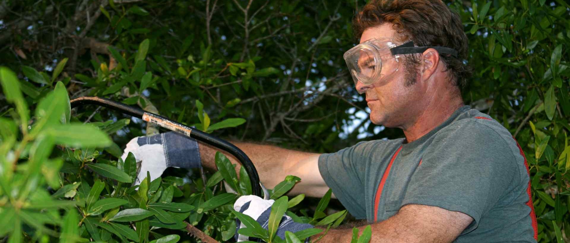 garden clearance RM2