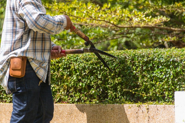 Garden Maintenance Gidea Park, Heath Park, RM2